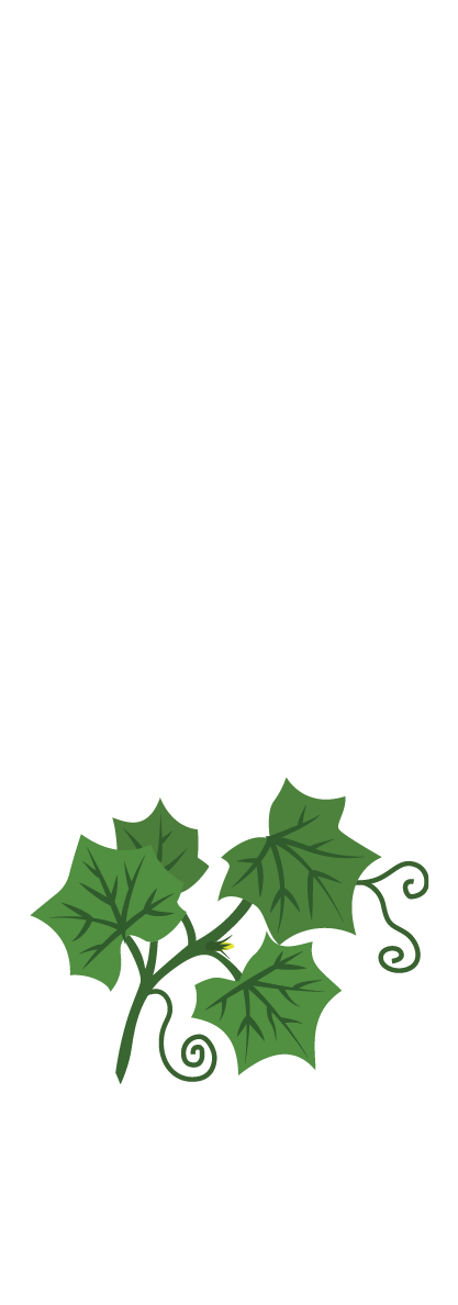 Рост и развитие листьев